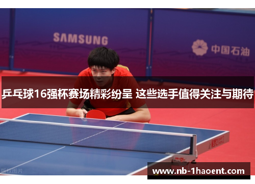 乒乓球16强杯赛场精彩纷呈 这些选手值得关注与期待