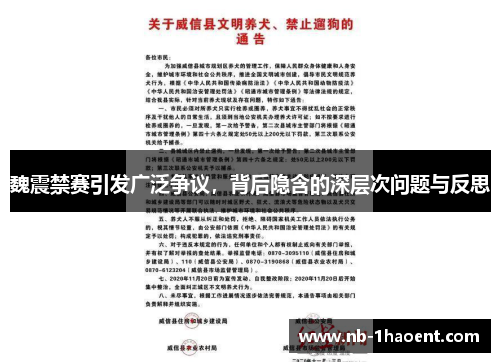 魏震禁赛引发广泛争议，背后隐含的深层次问题与反思